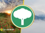 Иллюстративное фото