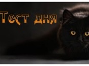 Тест по картинці — що можуть сказати про вас ворота