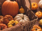 Баштанна культура