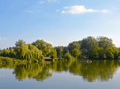 Став на річці Стугна