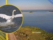 Иллюстративное фото