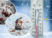 Прогноз погоды в Украине