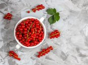 Смородина – улюблена культура дачників