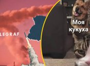 В сети появилась волна мемов