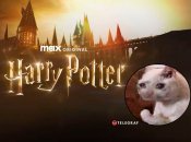 По вселенной Гарри Поттера можно было снять много других удачных историй, считают в сети