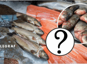 Яку рибу не можна купувати