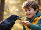 Ворона та дитина