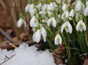 Прогноз погоди в Україні на березень