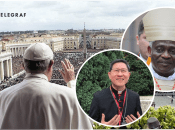 Кто может стать следующим Папой Римским