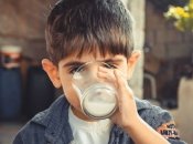 Непереносимость лактозы: почему некоторые люди не воспринимают молоко и что с этим делать