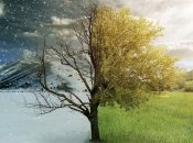 +15 °C у лютому: синоптики розповіли, коли чекати "весни" посеред зими