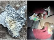 Наркотики изъяли и направили на экспертизу