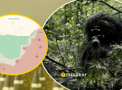 Поки що збільшення воєнної активності не фіксується