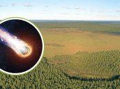 Коллаж "Телеграфа"