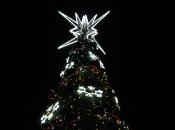 Елка засияет в сквере одного из районов