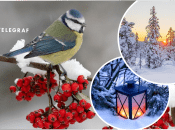 Прогноз погоды в Украине