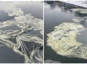 Дивне явище на поверхні Русанівського каналу