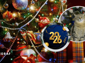 Мемы о Новом году