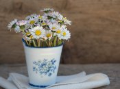 Цветы будут любовать глаз долго