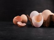 Скорлупа яиц пригодится в дачных целях