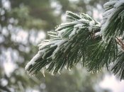 До зимы осталось всего несколько дней