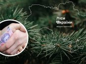 ГП "Леса Украины" наняло адвоката за 120 тысяч, чтобы отсудить копеечную сумму