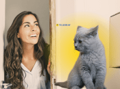 Кіт чекає господаря