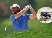 Томми Флитвуд