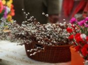 Вербна неділя 2022: що категорично не можна робити у свято