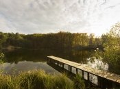 Яке сьогодні свято — День святого Микити Сповідника