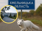 В селе Песец есть школа, которая работает с 1850-х годов