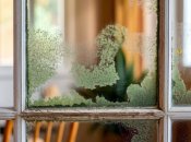 Як видалити плісняву з вікон раз і назавжди