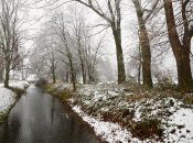 Осень покажет характер