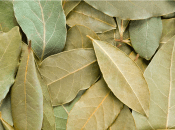 О проблеме можно будет забыть