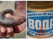 Консервы делали из самых неожиданных продуктов