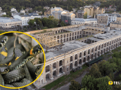 Плазуни в столиці