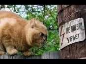 Для яких знаків Зодіаку наступний тиждень буде невдалим