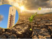 Чим загрожує спека та посуха в Україні