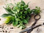 Как заморозить зелень: 4 способа