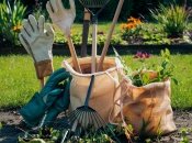 Бур'яни доволі важко, але можливо вивести  (зображення створено за допомогою ШІ)