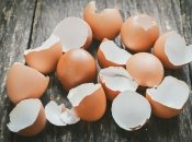 Яичная скорлупа – незаменимый помощник на участке