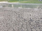 Такой вид имеет озеро "Синее" в августе этого года