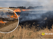 В Одессе горит поле, огонь приближается к домам