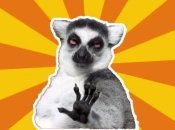 Гороскоп для Весов, Козерогов и Водолеев