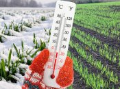 Поля України