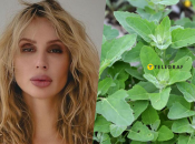 Світлана Лобода