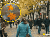 Осень в Киеве