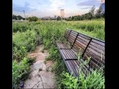 Похоже на Припять: в сети показали территорию вокруг "Донбасс Арены" (фото)