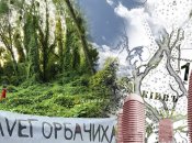Київське урочище Горбачиха на лівому березі Дніпра давно мало стати заповідною територією