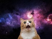 Ілюстративне фото